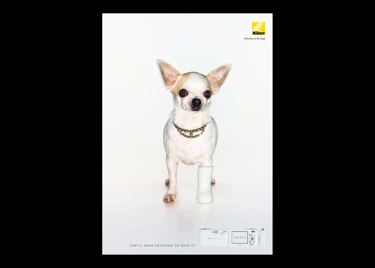 NIKON S_dog 1300×930